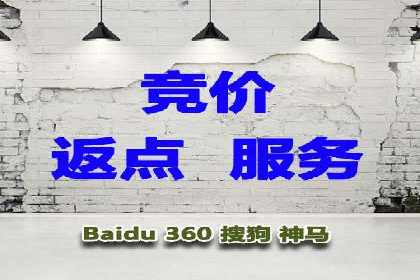 SEM托管公司案例：业绩提升之道
