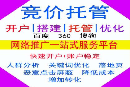 揭秘SEM竞价托管：实战案例深度解析